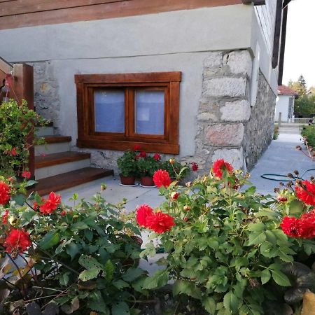 Dana Apartmani Kolašin Kültér fotó