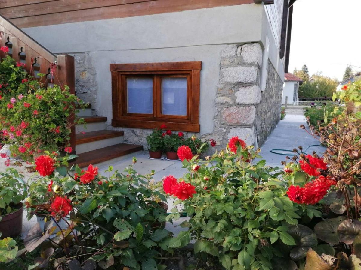 Dana Apartmani Kolašin Kültér fotó